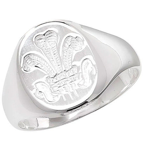 Celtic feather ring sterling - ring,